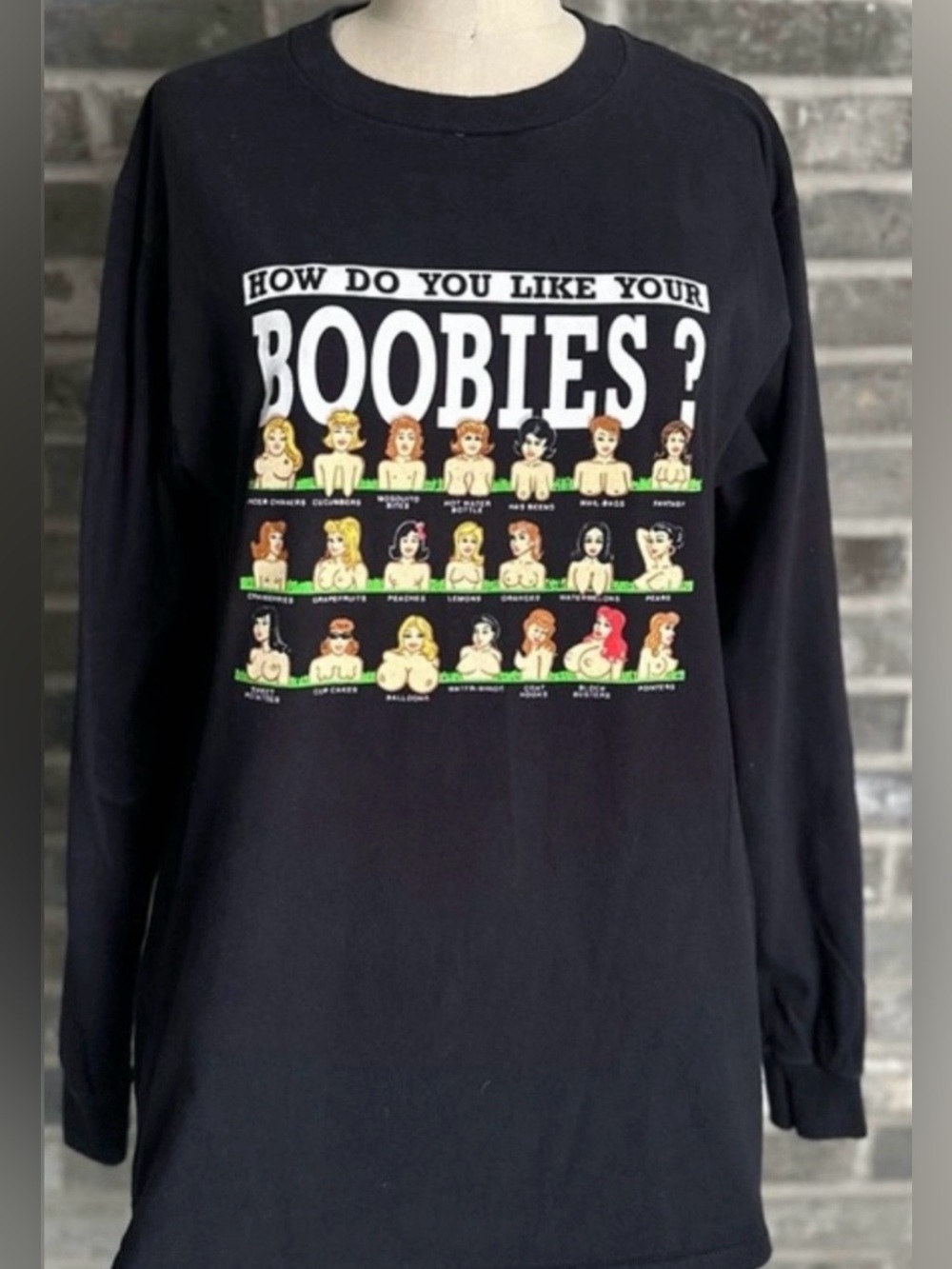 Spencer’s How Do You Like Your Boobies Adult Humor Long Sleeve Tee